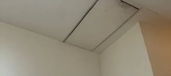 9 rooms Building in Zwickau, Germany No. 41531 9