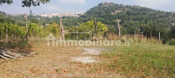 2 Schlafzimmer Haus in Caiazzo, Italy, Nr. 160869 19