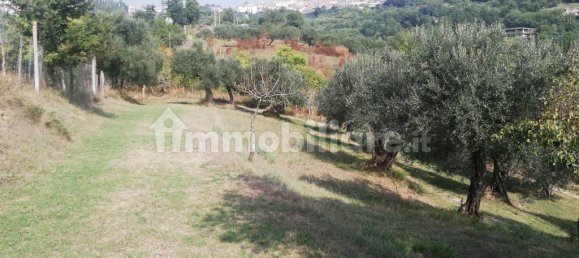 2 Schlafzimmer Haus in Caiazzo, Italy, Nr. 160869 24