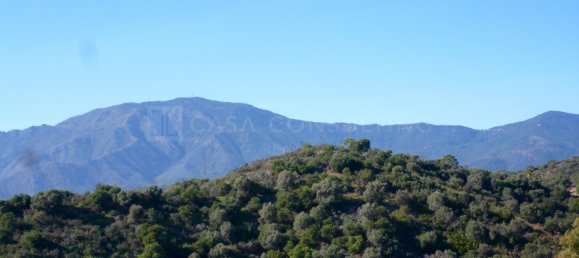 Terrain à Estepona, Spain 500m² No. 123768 11