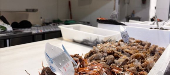  مكتب في Malaga, Spain 25متر مربع رقم 140315 7