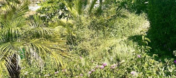 Apartamento T2 em Mijas, Spain N.º 64833 2