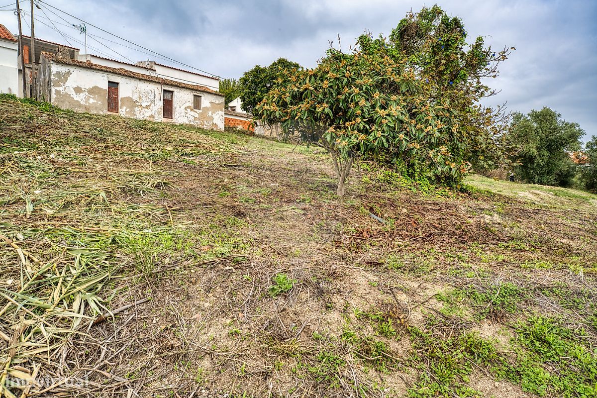 Casa de 2 dormitorios en Azambuja, Portugal No. 49850