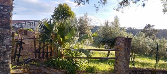 1 bedroom House in Sardoal, Portugal No. 24061 6