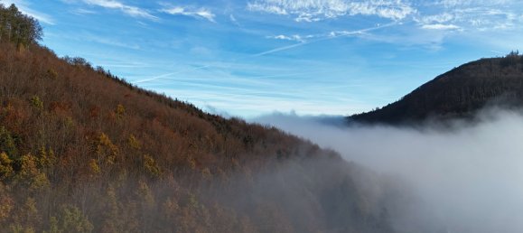 Дом с 4 спальнями в Вартбург, Германия № 104575 19