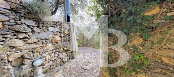 5 Schlafzimmer Haus in Recco, Italy, Nr. 339966 4