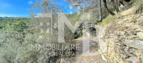 5 Schlafzimmer Haus in Recco, Italy, Nr. 339966 5