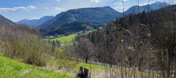 Terrain à Mariazell, Austria No. 237178 4