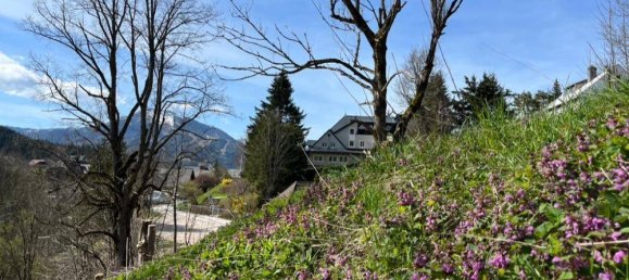 Terrain à Mariazell, Austria No. 237178 3