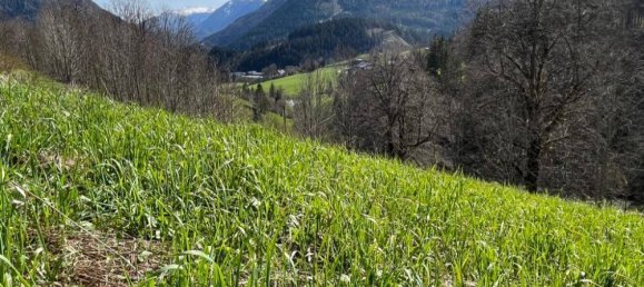 Terrain à Mariazell, Austria No. 237178 6