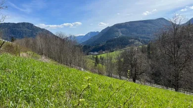 Terrain à Mariazell, Austria No. 237178