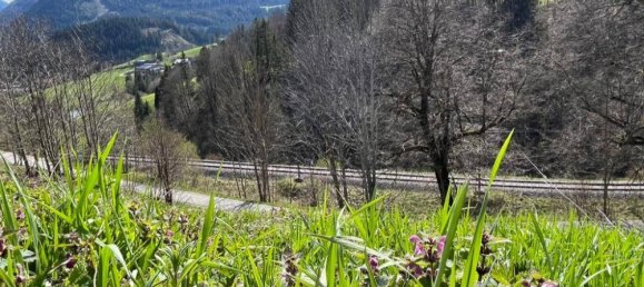 Terrain à Mariazell, Austria No. 237178 7