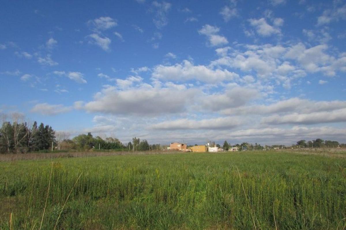  Land in Buenos Aires, Argentina No. 117284