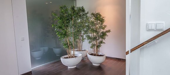 3 Schlafzimmer Haus in Esposende, Portugal, Nr. 156735 26