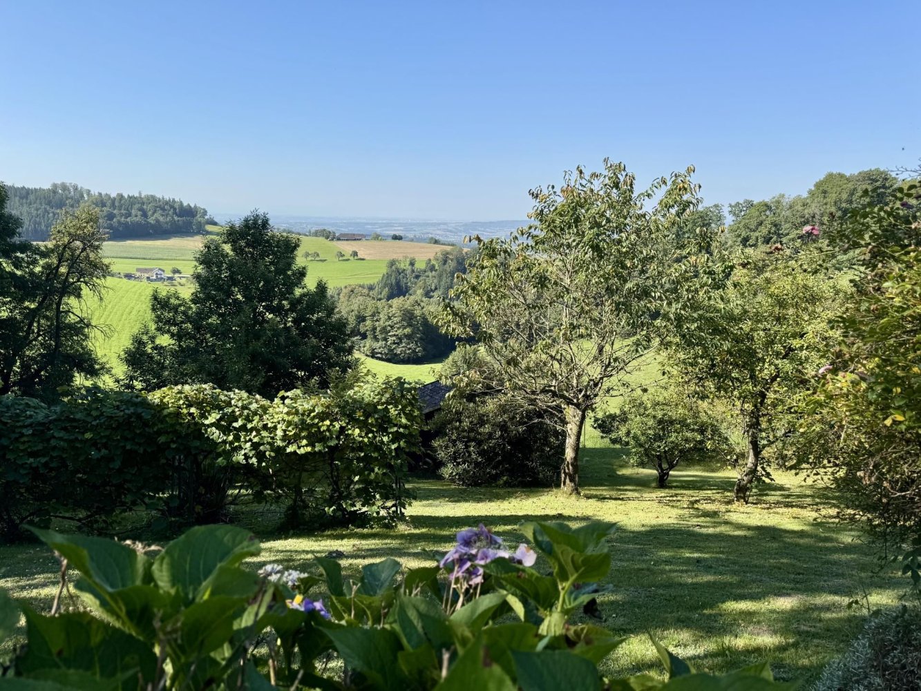 Grundstück in Gramastetten, Austria, Nr. 230939