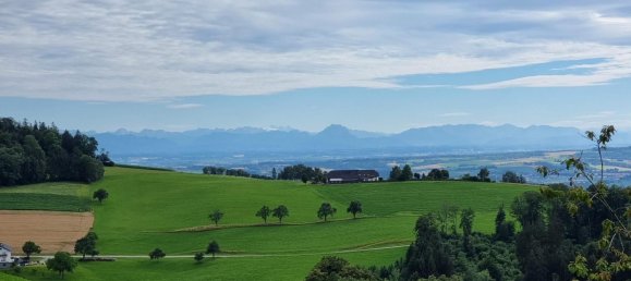 Grundstück in Gramastetten, Austria, Nr. 230939 2