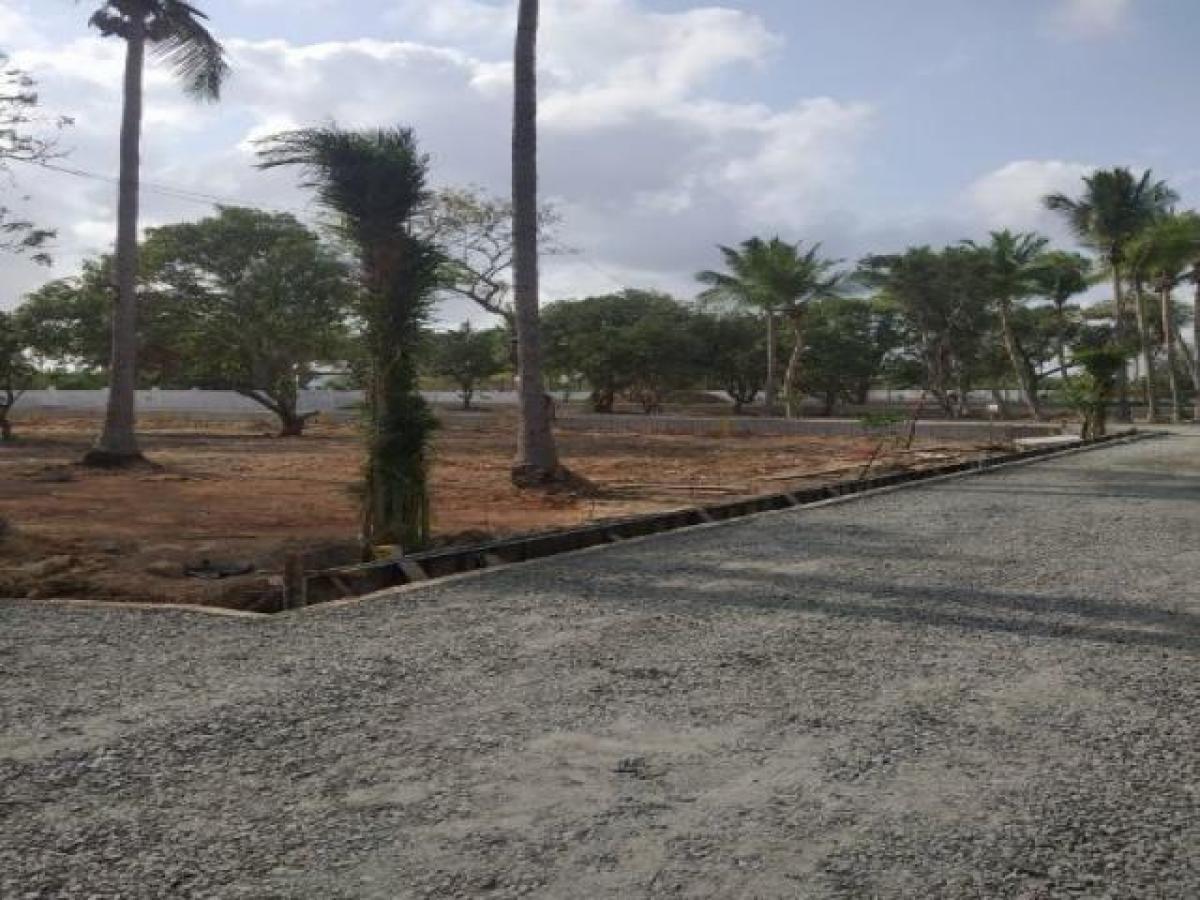  Land in Chennai, India No. 29650