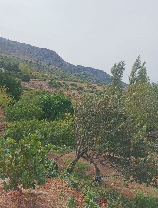 8000m² Land in Cadiz, Spain No. 227417