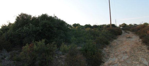 9500 m² terreno en venta en Chalkidiki, Central Macedonia, Macedonia and Thrace, Greece № 93388 3