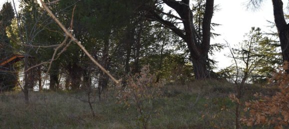 6 bedrooms House in Montescudo Monte Colombo, Italy No. 108769 15