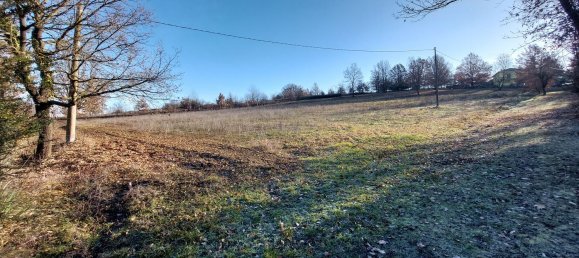 7 rooms House in Carpeneto, Italy No. 174118 21