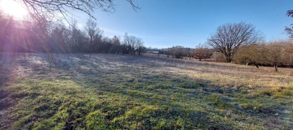 7 rooms House in Carpeneto, Italy No. 174118 17