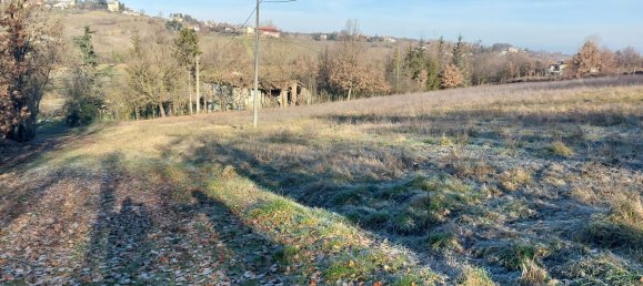 7 rooms House in Carpeneto, Italy No. 174118 18