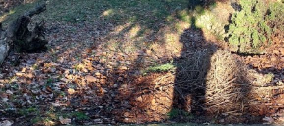 7 rooms House in Carpeneto, Italy No. 174118 24