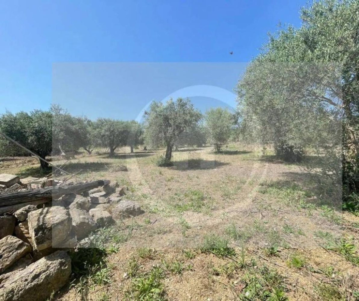 4200m² Land in Santa Flavia, Italy No. 115423