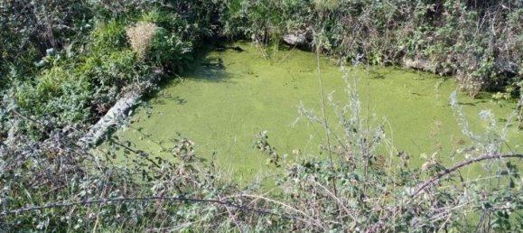  قطعة أرض في Peraboa, Portugal 130000متر مربع رقم 140242 4