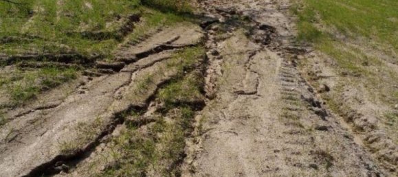  قطعة أرض في Peraboa, Portugal 130000متر مربع رقم 140242 2