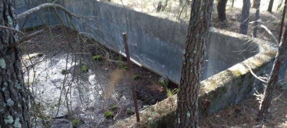  قطعة أرض في Peraboa, Portugal 130000متر مربع رقم 140242 10