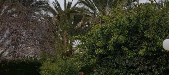 6 bedrooms Commercial property in Chloraka, Cyprus No. 67732 15