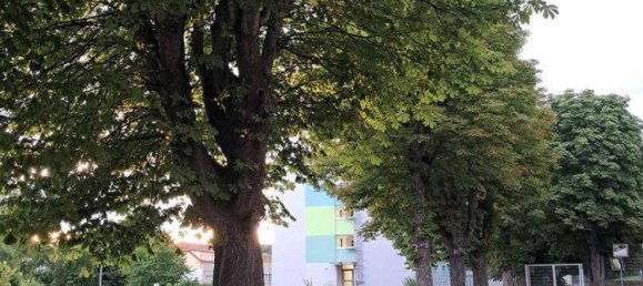 2 bedrooms Apartment in Pinkafeld, Austria No. 210215 2