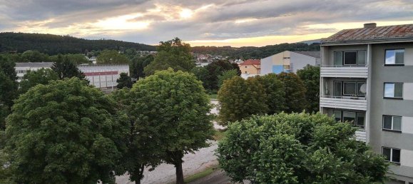 2 bedrooms Apartment in Pinkafeld, Austria No. 210215 15