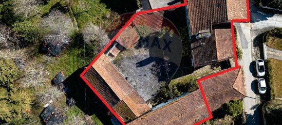 6 bedrooms House in Cantanhede, Portugal No. 24728 13