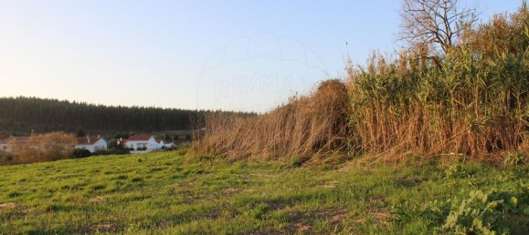 2 bedrooms House in Evora de Alcobaca, Portugal No. 187526 2