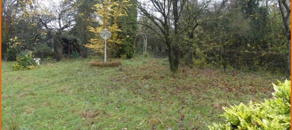 4 bedrooms Townhouse in Main-Kinzig, Germany No. 146273 14