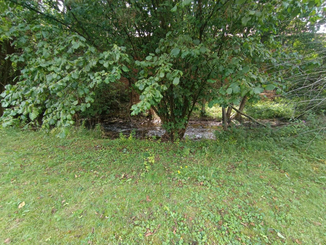 4 Schlafzimmer Stadthaus in Bad Kissingen, Germany, Nr. 320479