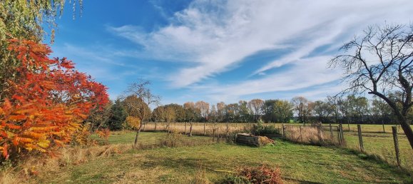 7غرفة مزرعة في Ludwigslust-Parchim, Germany رقم 162563 11