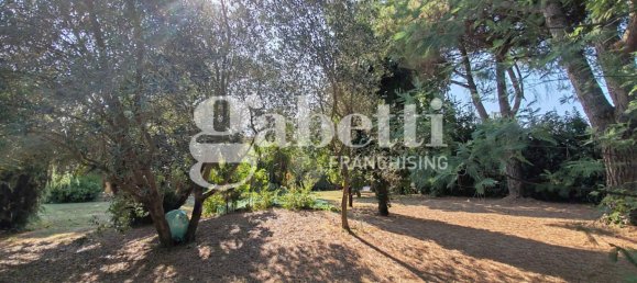 3 bedrooms Villa in Casciana Terme Lari, Italy No. 309513 22