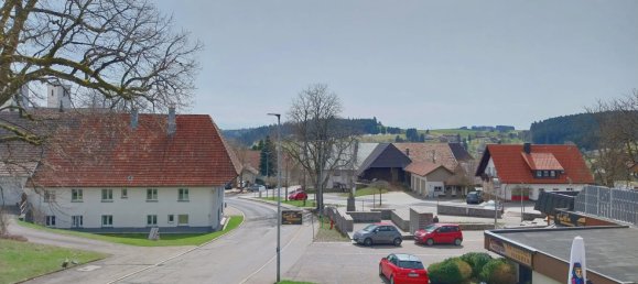 Hôtel à Baden-Wurttemberg, Germany 1100m² No. 8453 3