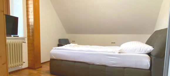 Hôtel à Baden-Wurttemberg, Germany 1100m² No. 8453 26