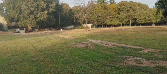 15-Zimmer Haus in Cologne, Italy, Nr. 109596 5