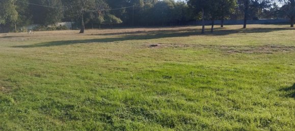 15-Zimmer Haus in Cologne, Italy, Nr. 109596 8