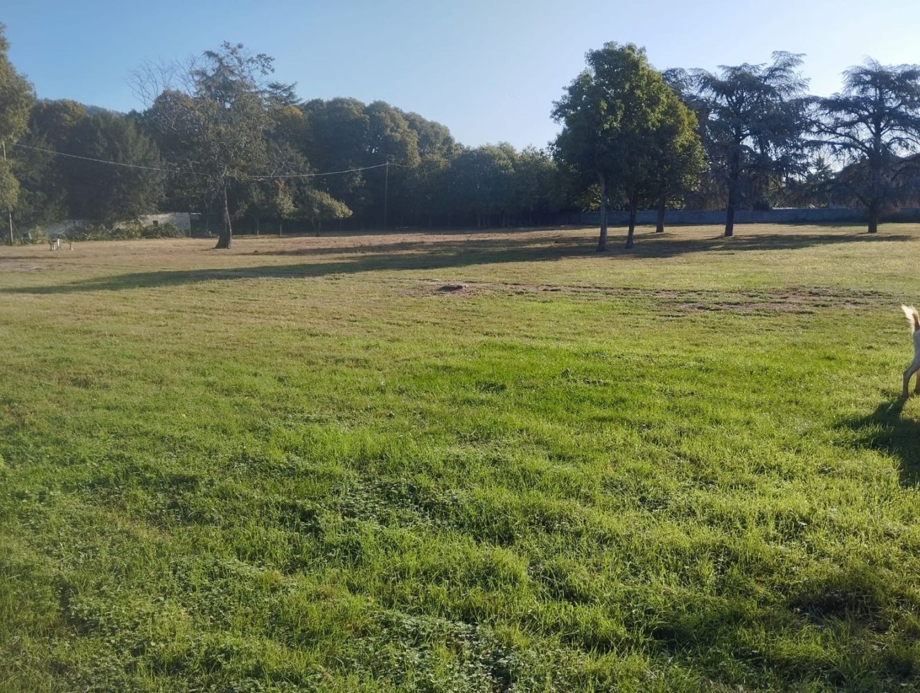 15-Zimmer Haus in Cologne, Italy, Nr. 109596