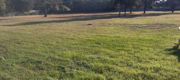 15-Zimmer Haus in Cologne, Italy, Nr. 109596 9