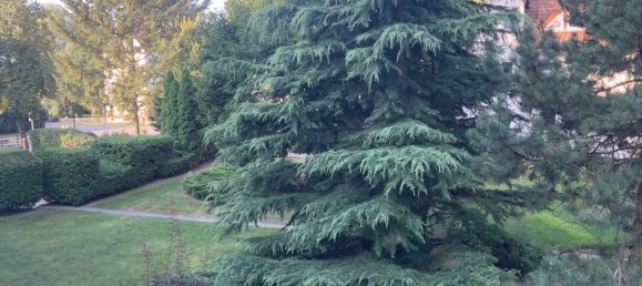 3 rooms Apartment in Oder-Spree, Germany No. 109645 11