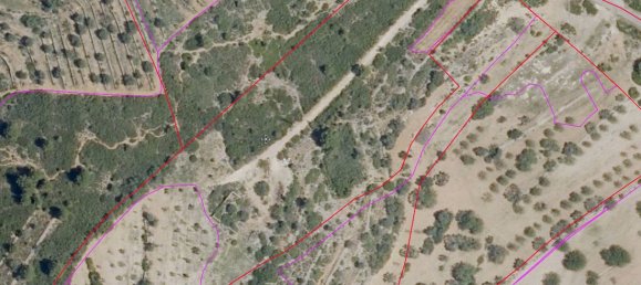 Terreno en Castellón, Spain 18206 m² No. 165628 4