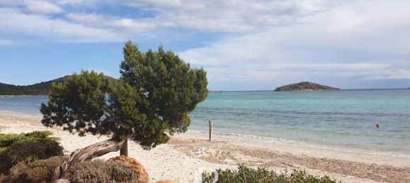  Land in Zonza, France No. 92354 8